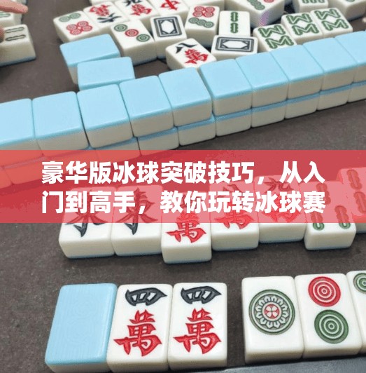 豪华版冰球突破技巧,从入门到高手,教你玩转冰球赛场的制胜密码,豪华版冰球突破技巧 豪华版冰球突破技巧,从入门到高手,教你玩转冰球赛场的制胜密码,豪华版冰球突破技巧