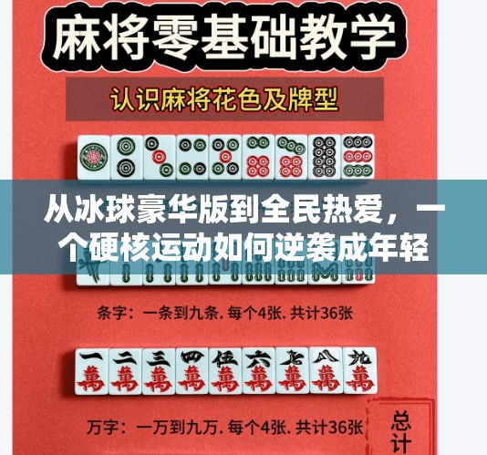 从冰球豪华版到全民热爱，一个硬核运动如何逆袭成年轻人的新宠？突破冰球豪华版全部